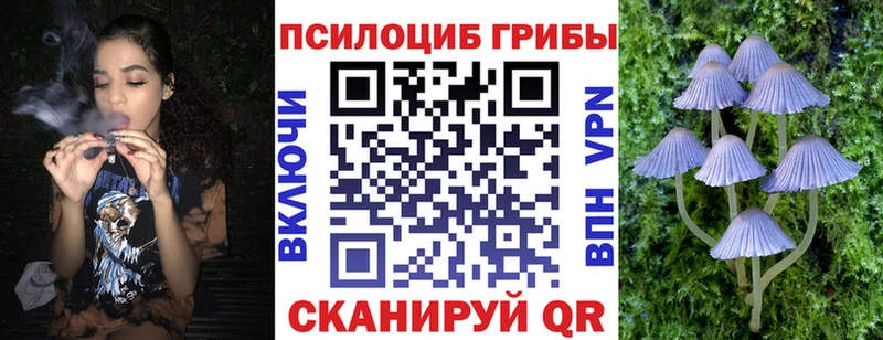 Галлюциногенные грибы прущие грибы магазин продажи Афипский